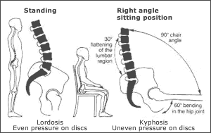 Standing and sitting positions